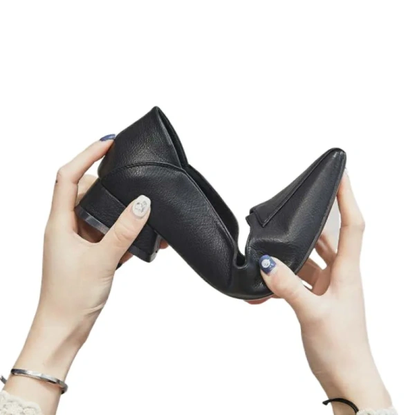 2025 Spring Autumn Collection New Pointed Shallow Mouth Sandals Platform Soft Bottom Thick Heel Single Shoes Daily Outdoor - Image 6
